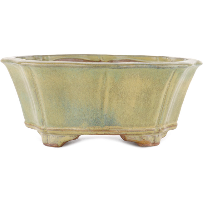 Lotus green bonsai pot by Gyouzan - 310 x 310 x 120 mm