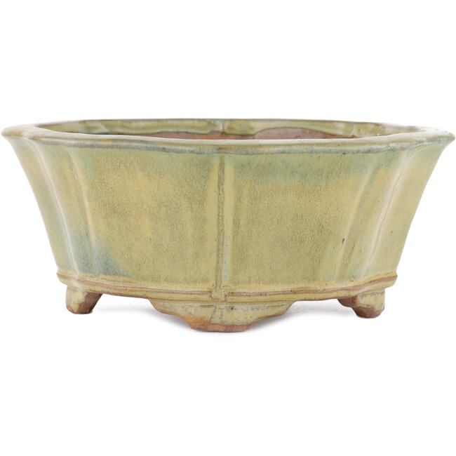 Lotus green bonsai pot by Gyouzan - 310 x 310 x 120 mm