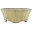 Lotus green bonsai pot by Gyouzan - 310 x 310 x 120 mm