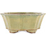 Lotus green bonsai pot by Gyouzan - 310 x 310 x 120 mm