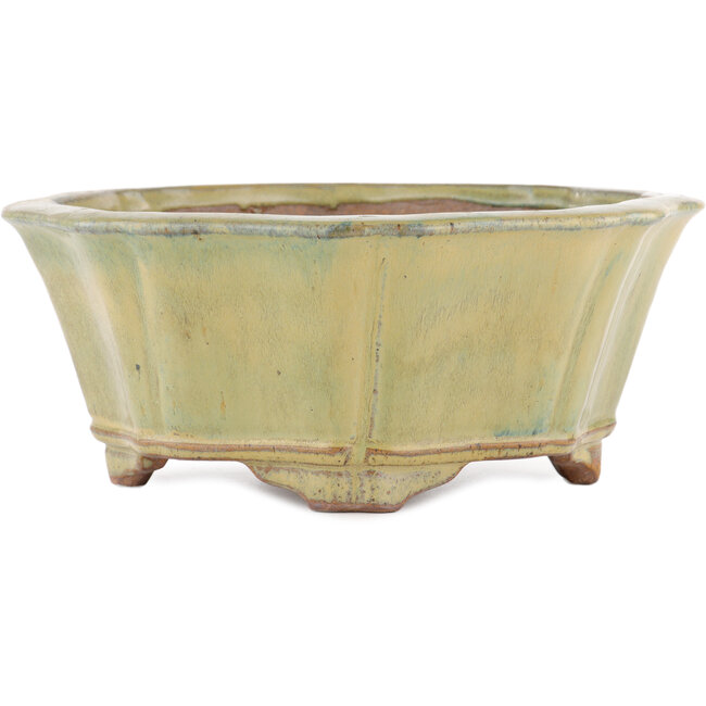 Pot à bonsaï vert lotus par Gyouzan - 310 x 310 x 120 mm