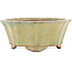 Lotus green bonsai pot by Gyouzan - 310 x 310 x 120 mm