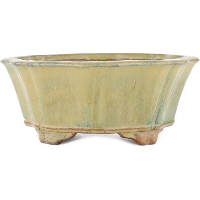 Lotusgroene bonsaipot van Gyouzan - 310 x 310 x 120 mm