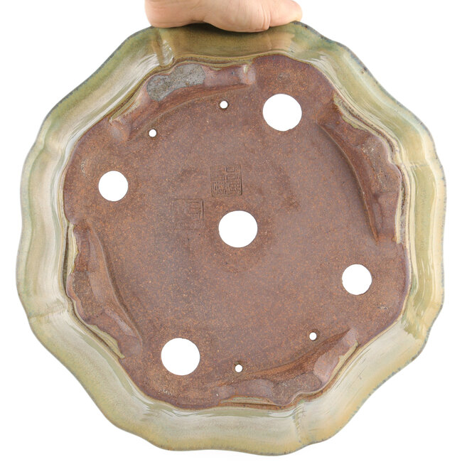 Lotusgrüner Bonsai-Topf von Gyouzan - 310 x 310 x 120 mm