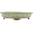 Lotus green bonsai pot by Shuhou - 360 x 360 x 70 mm