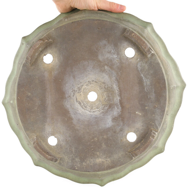 Vaso bonsai verde loto di Shuhou - 360 x 360 x 70 mm