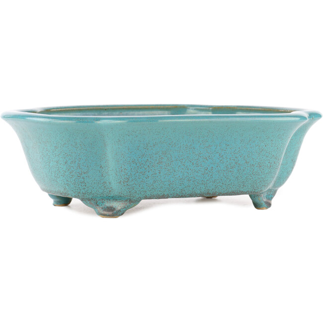 Pot à bonsaï ovale vert par Reiho - 340 x 280 x 100 mm