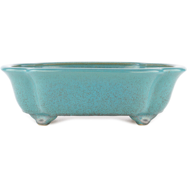 Maceta ovalada para bonsái verde de Reiho - 340 x 280 x 100 mm