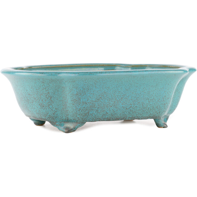 Pot à bonsaï ovale vert par Reiho - 340 x 280 x 100 mm