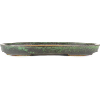  Shuuhou (Hidemi Kataoka) 395 mm oval green bonsai pot by Shuhou, Tokoname, Japan