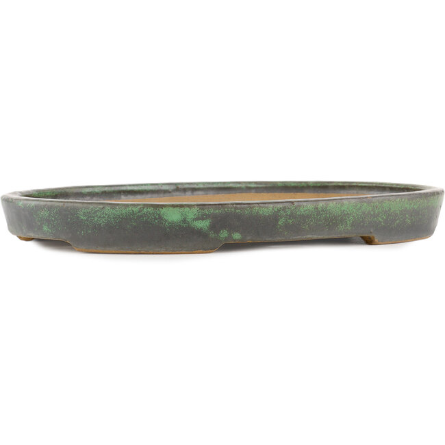 Maceta ovalada para bonsái verde de Shuhou - 395 x 265 x 40 mm