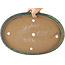 Pot à bonsaï ovale vert par Shuhou - 395 x 265 x 40 mm
