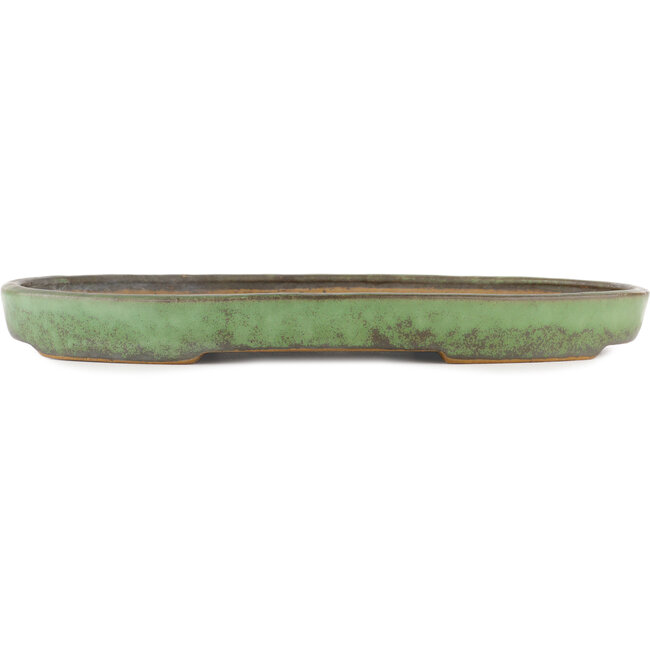 Oval green bonsai pot by Shuhou - 395 x 265 x 40 mm