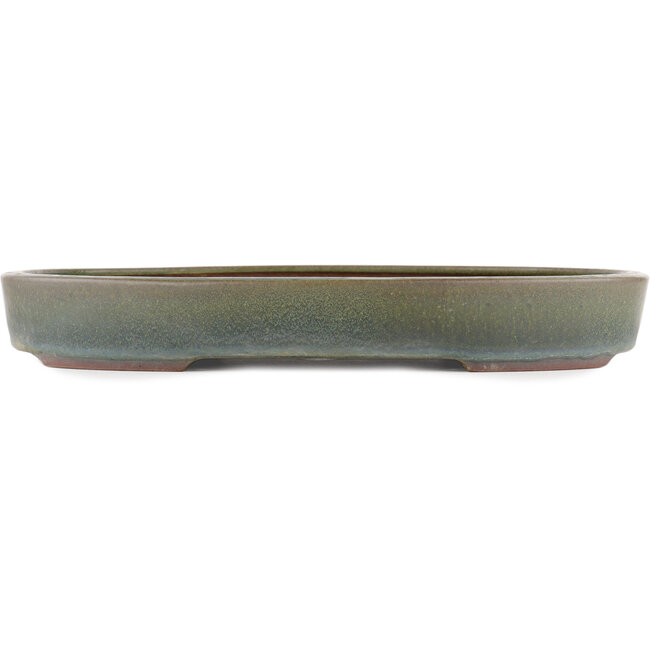 Pot à bonsaï ovale vert par Yamaaki - 405 x 310 x 50 mm
