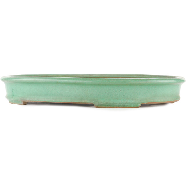 Pot à bonsaï ovale vert par Yamaaki - 405 x 315 x 55 mm