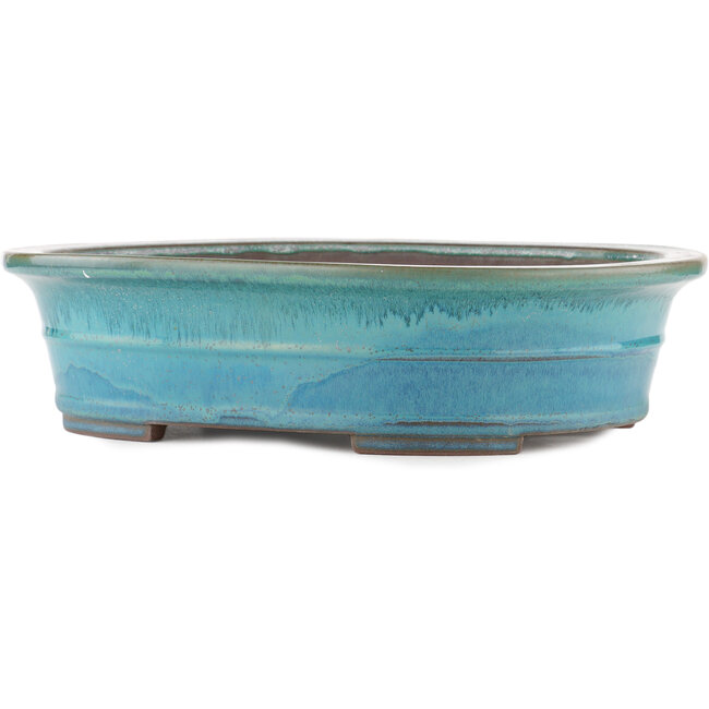 Vaso bonsai ovale blu di Yamaaki - 410 x 315 x 100 mm