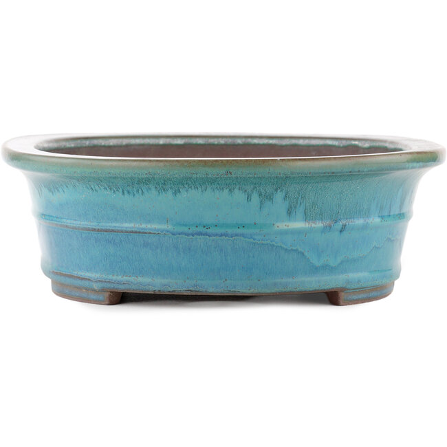 Maceta ovalada para bonsái azul de Yamaaki - 410 x 315 x 100 mm