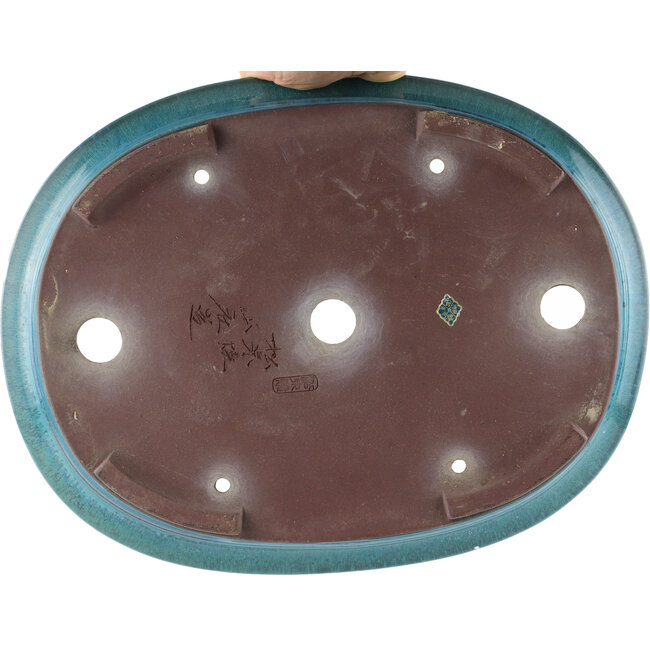 Maceta ovalada para bonsái azul de Yamaaki - 410 x 315 x 100 mm