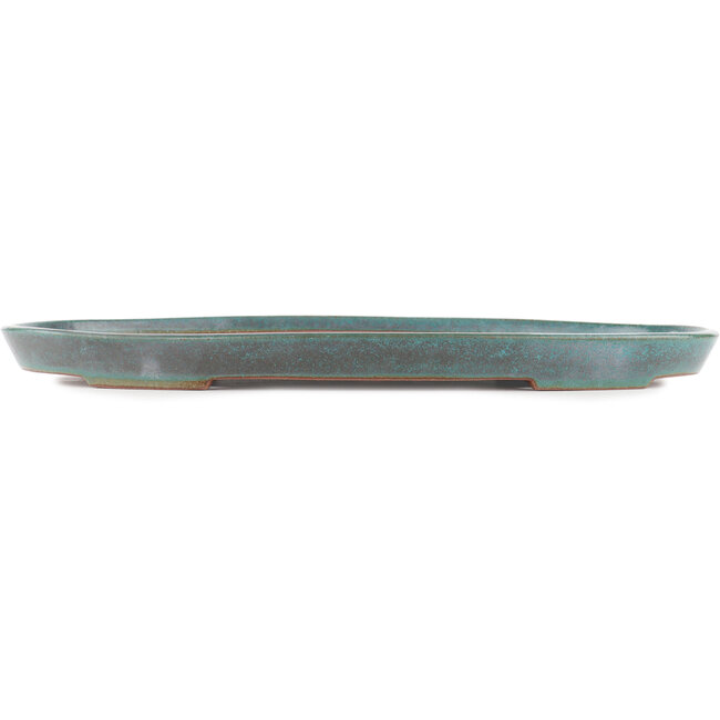 Pot à bonsaï ovale turquoise par Reiho - 475 x 305 x 35 mm