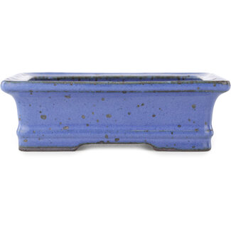  Hattori Tomoyuki 160 mm rectangular blue bonsai pot by Hattori, Tokoname, Japan