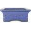 Rectangular blue bonsai pot by Hattori - 160 x 130 x 50 mm