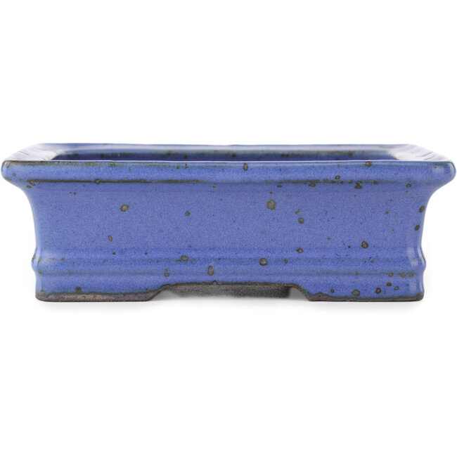 Maceta rectangular para bonsái azul de Hattori - 160 x 130 x 50 mm