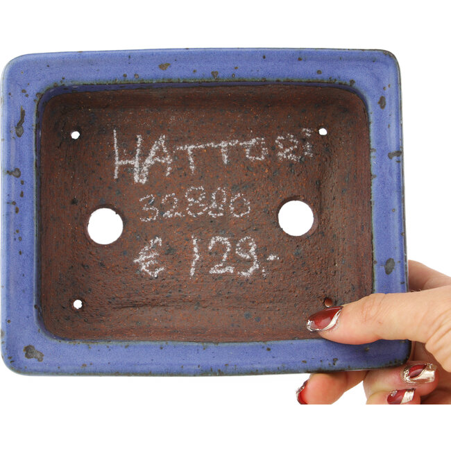 Vaso bonsai rettangolare blu di Hattori - 160 x 130 x 50 mm