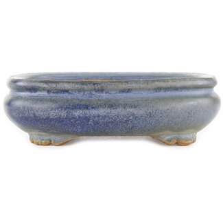 Hattori Tomoyuki 165 mm oval blue bonsai pot by Hattori, Tokoname, Japan
