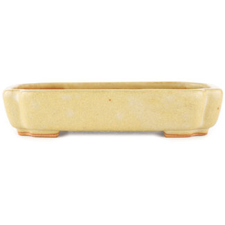  Hattori Tomoyuki 162 mm rectangular off-white bonsai pot by Hattori, Tokoname, Japan