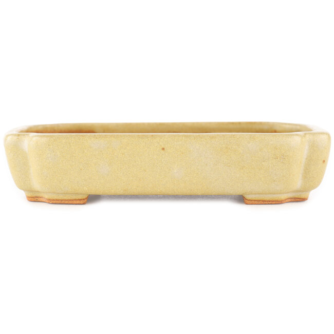 Rectangular off-white bonsai pot by Hattori - 162 x 116 x 35 mm