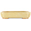 Rectangular off-white bonsai pot by Hattori - 162 x 116 x 35 mm