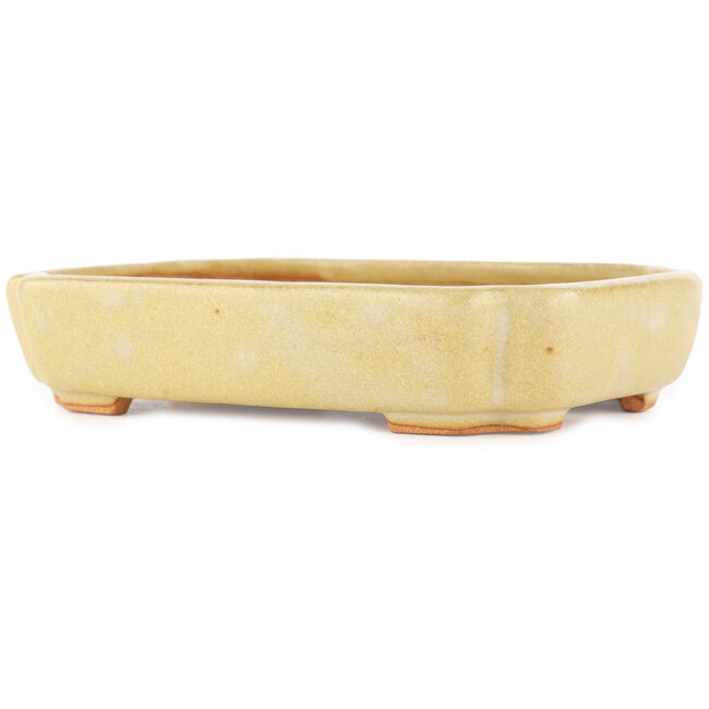 Maceta rectangular para bonsái blanco roto de Hattori - 162 x 116 x 35 mm