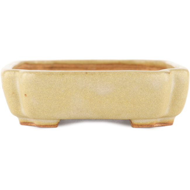 Vaso bonsai rettangolare bianco sporco di Hattori - 162 x 116 x 35 mm