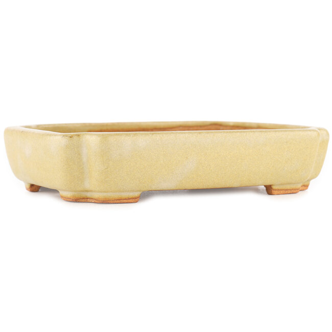 Pot à bonsaï rectangulaire blanc cassé par Hattori - 162 x 116 x 35 mm