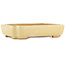 Rectangular off-white bonsai pot by Hattori - 162 x 116 x 35 mm