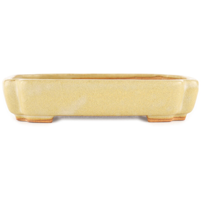 Vaso bonsai rettangolare bianco sporco di Hattori - 162 x 116 x 35 mm