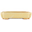 Rectangular off-white bonsai pot by Hattori - 162 x 116 x 35 mm