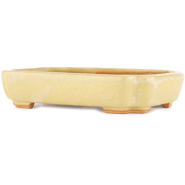 Rectangular off-white bonsai pot by Hattori - 162 x 116 x 35 mm