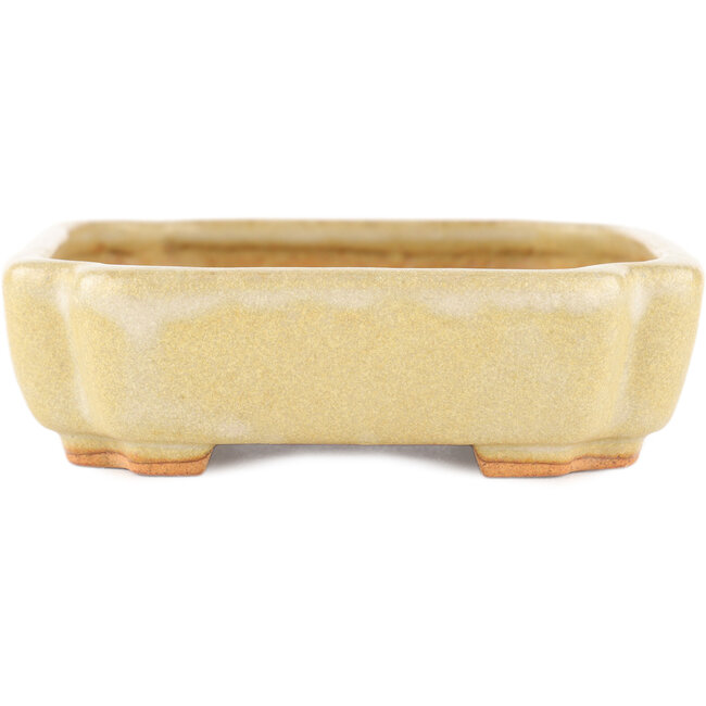 Rectangular off-white bonsai pot by Hattori - 162 x 116 x 35 mm