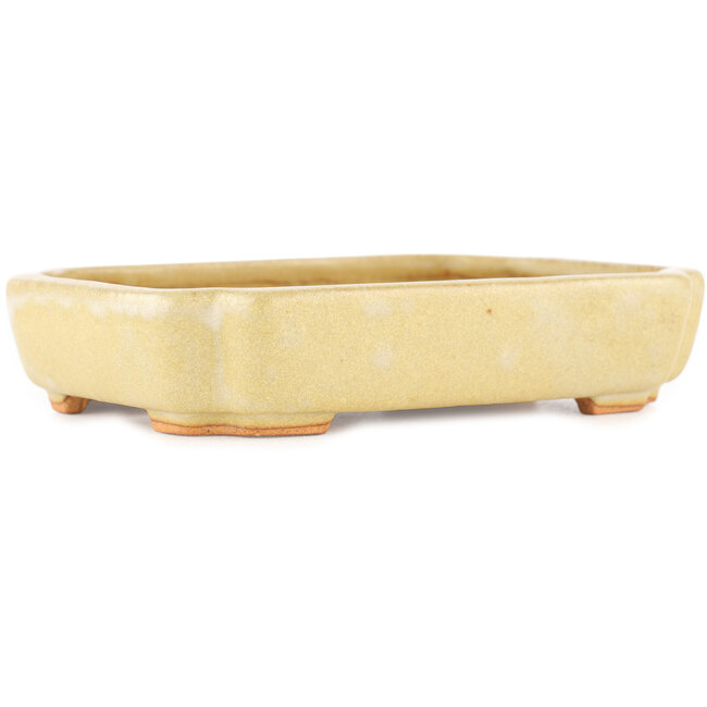 Vaso bonsai rettangolare bianco sporco di Hattori - 162 x 116 x 35 mm