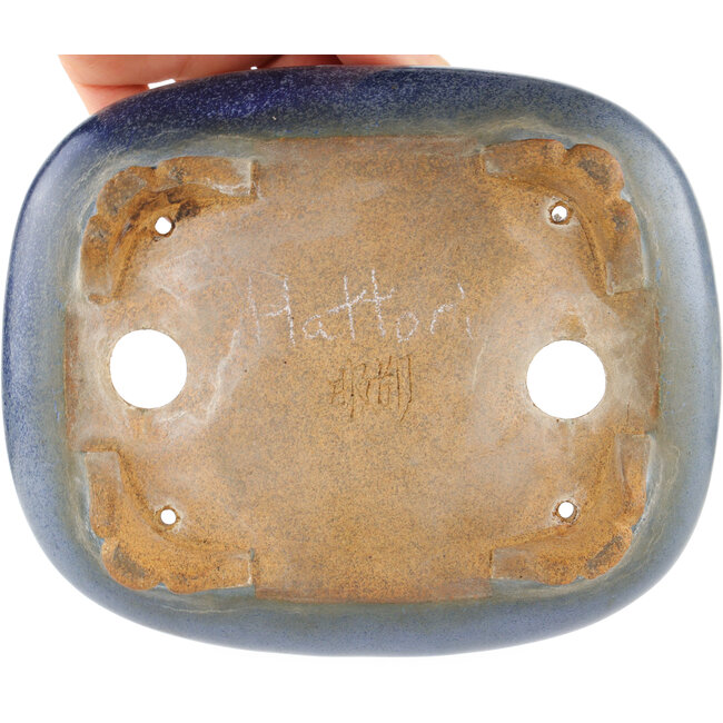 Pot à bonsaï ovale bleu par Hattori - 165 x 135 x 50 mm