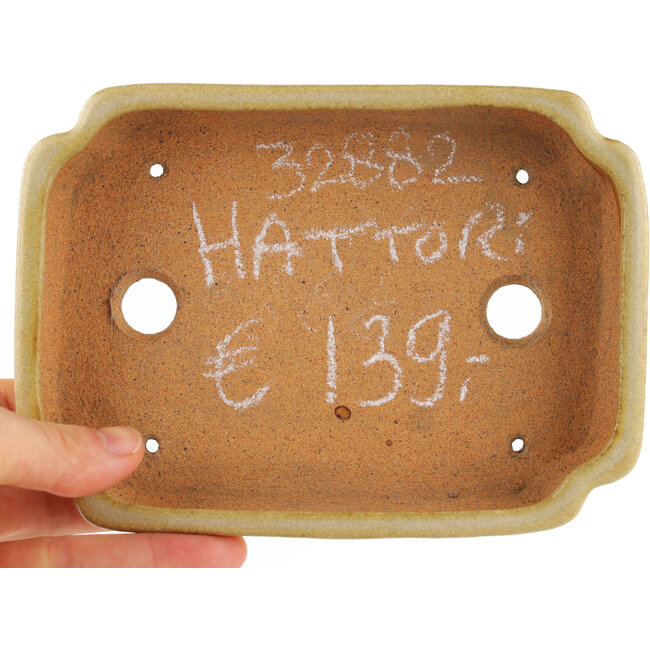 Maceta rectangular para bonsái blanco roto de Hattori - 162 x 116 x 35 mm