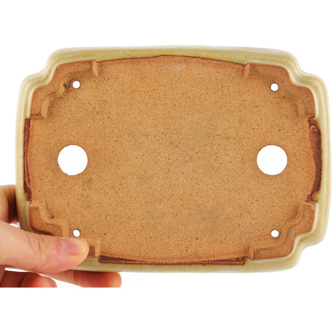 Pot à bonsaï rectangulaire blanc cassé par Hattori - 162 x 116 x 35 mm