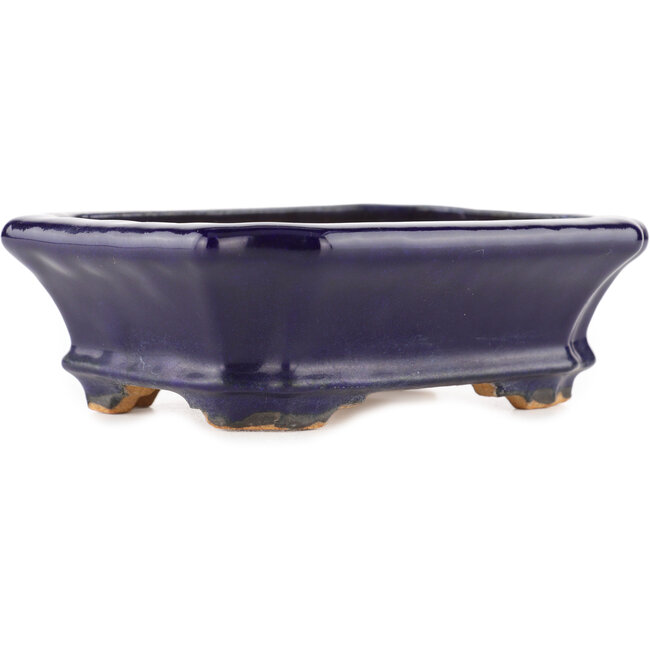 Pot à bonsaï rectangulaire bleu par Hattori - 140 x 107 x 45 mm