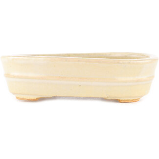  Hattori Tomoyuki 161 mm oval white bonsai pot by Hattori, Tokoname, Japan
