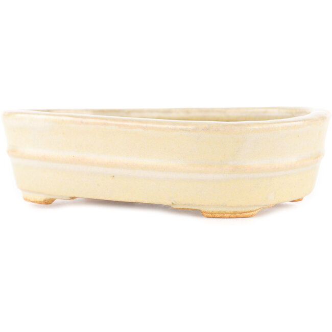 Pot à bonsaï ovale blanc par Hattori - 161 x 117 x 43 mm