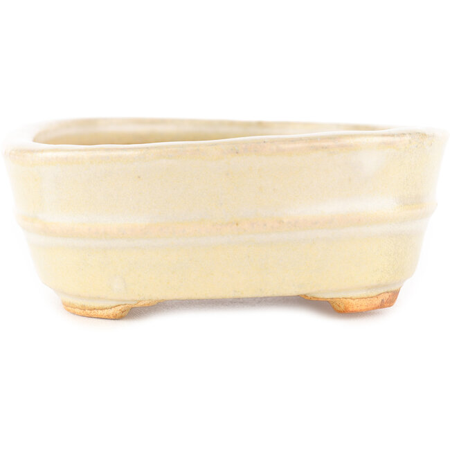 Ovaler weißer Bonsai-Topf von Hattori - 161 x 117 x 43 mm