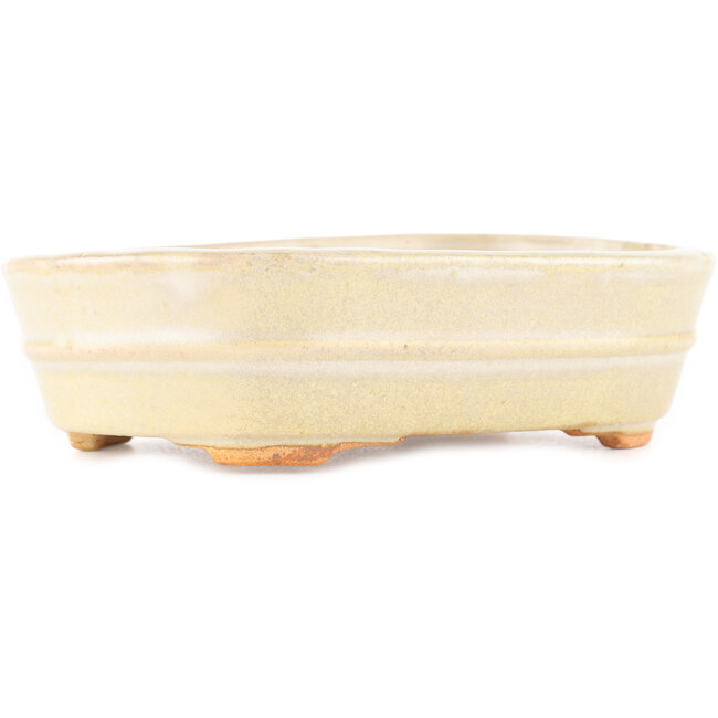 Vaso bonsai ovale bianco di Hattori - 161 x 117 x 43 mm