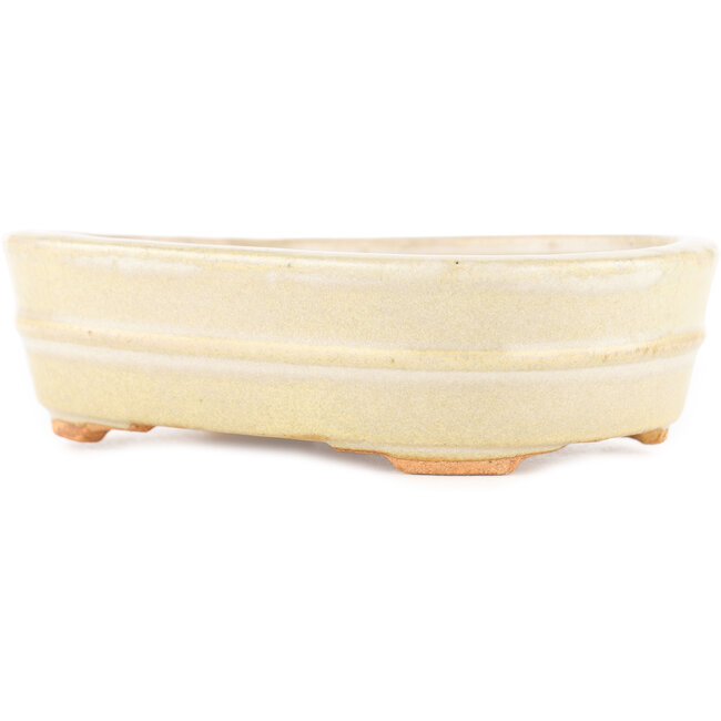 Pot à bonsaï ovale blanc par Hattori - 161 x 117 x 43 mm