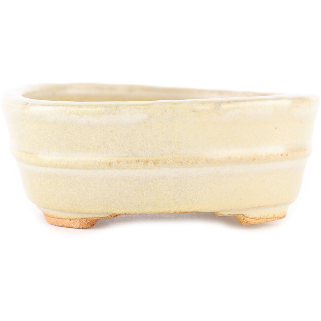 Maceta ovalada para bonsái blanca de Hattori - 161 x 117 x 43 mm